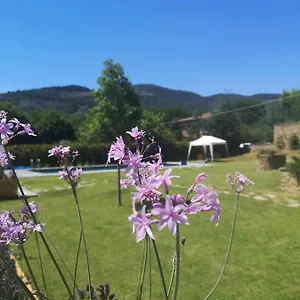 Bed & Breakfast Alba Morus Bed E Breakfast Sentiti A Casa Nel Cuore Della Toscana, Arezzo